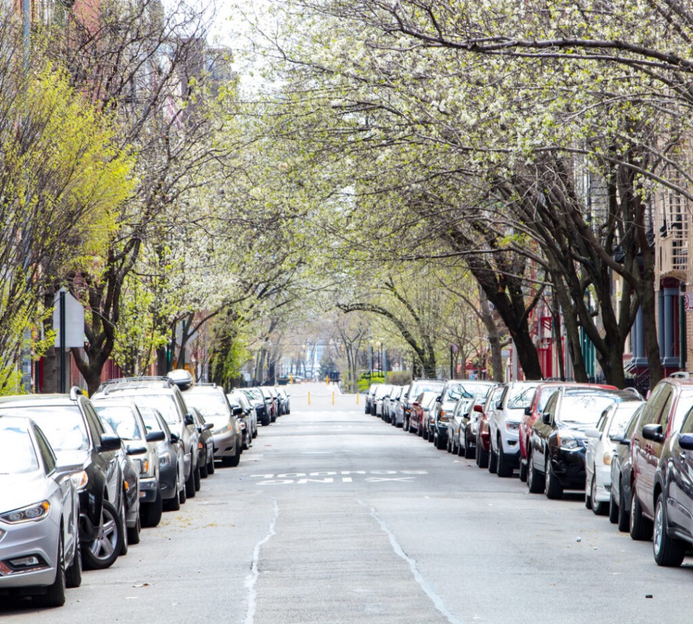 Cars parked along a city street with a canopy of trees overhead